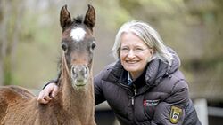 CAVALLO Vollblut, Warmblut, Herzblut, Landgestüt Marbach, Fohlen