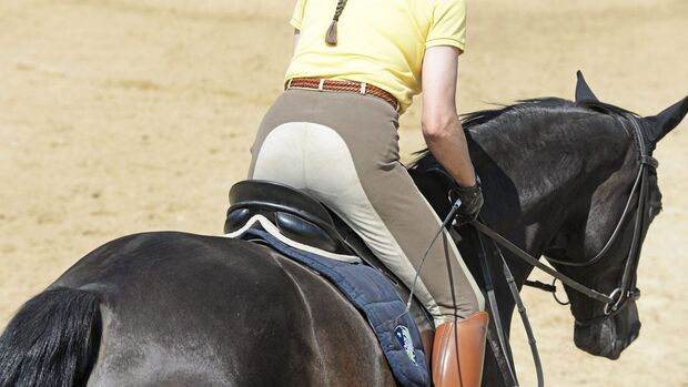 CAVALLO Wie Sie Ihre Mitte im Sattel finden und in allen Lagen im Lot bleiben