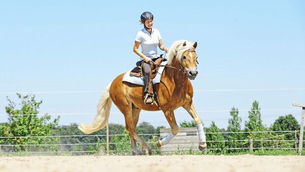 CAVALLO Wie Sie Ihre Mitte im Sattel finden und in allen Lagen im Lot bleiben