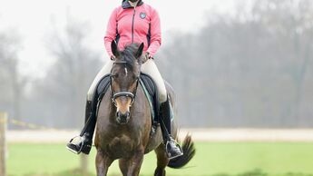 CAVALLO Wie Sie Ihre Mitte im Sattel finden und in allen Lagen im Lot bleiben