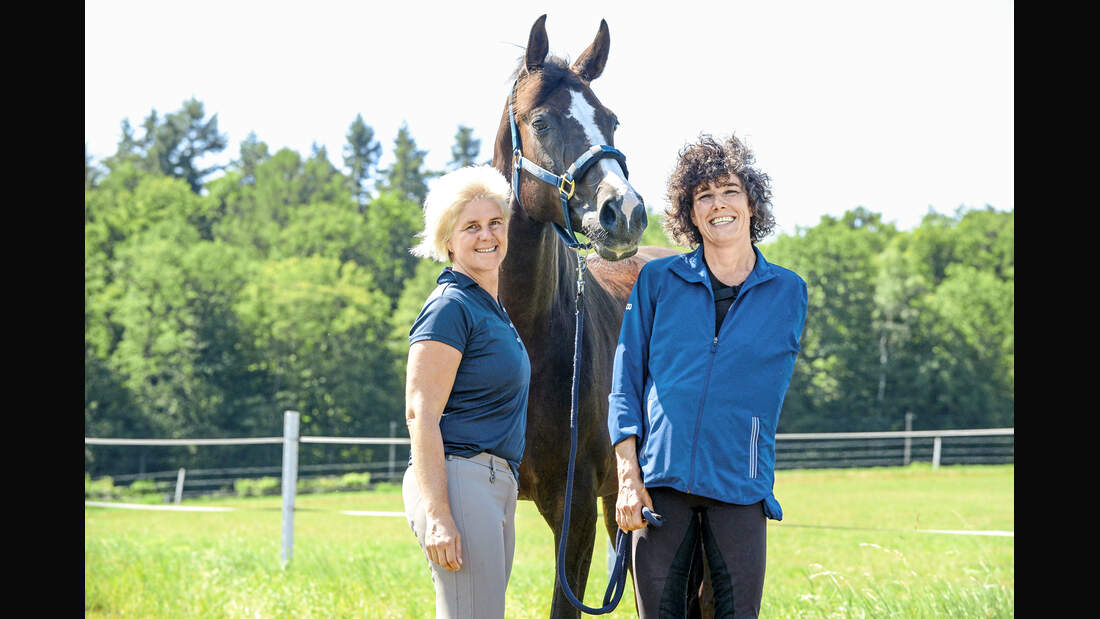 CAVALLO hautnah
