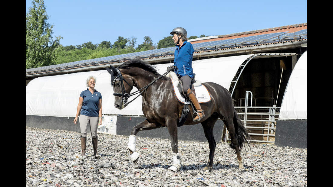 CAVALLO hautnah