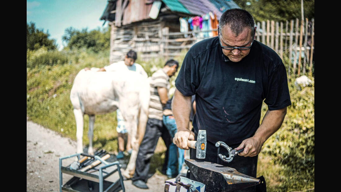 CAVALLO hautnah Markus Raabe