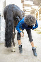 CAVALLO hautnah