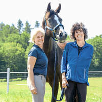 CAVALLO hautnah