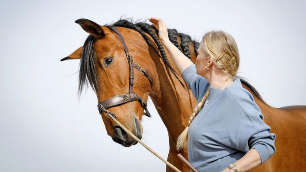 CAVALLO hochsensible Pferde 