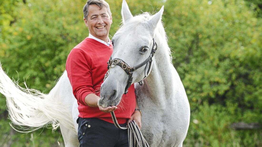 Cavallo Hautnah - Laussegger