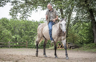 Wie Bernd Osterhammel Manager Mit Pferden Trainiert Cavallo De
