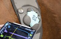 Der digitale Blick ins Pferd mit dem Piavet-System