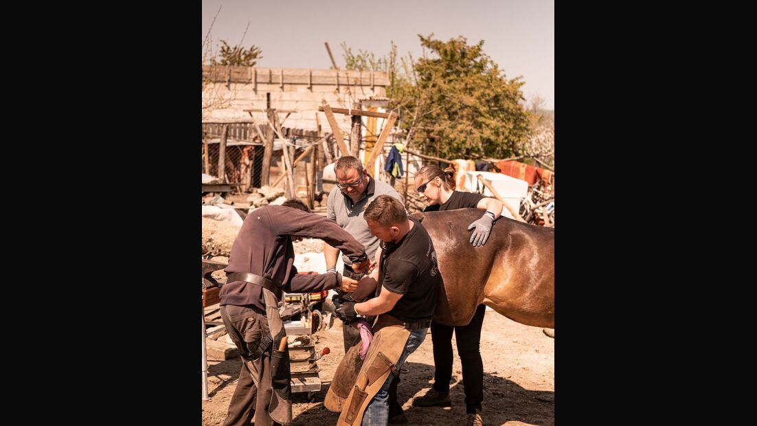 Die Hilfsorganisation Equiwent um Hufschmied Markus Raabe setzt sich in Nordostrumänien für Arbeitspferde, Hunde und Menschen ein.