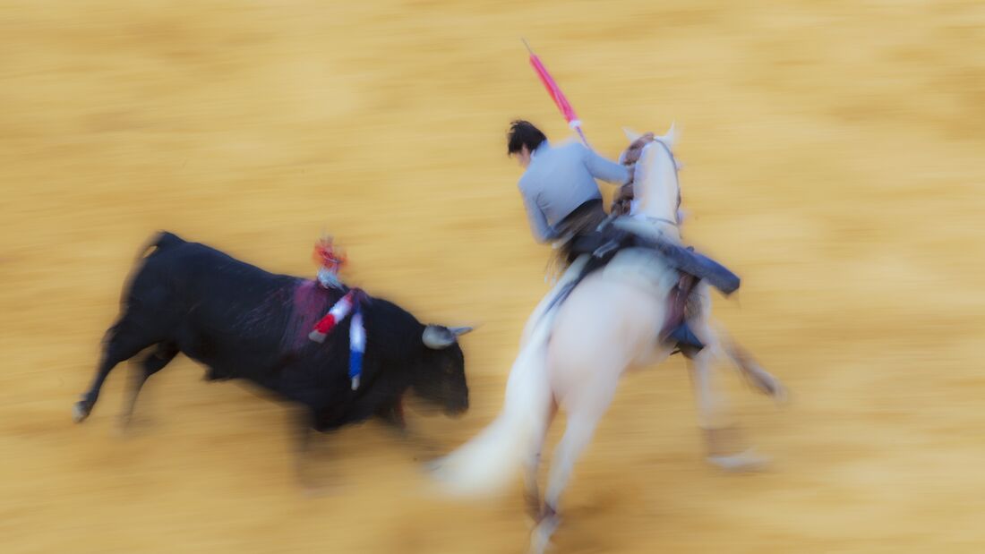 Equestrian bullfighter (Rejoneador) Diego Ventura