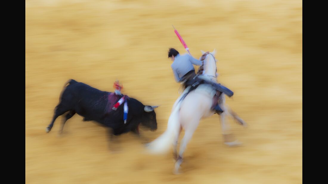 Equestrian bullfighter (Rejoneador) Diego Ventura