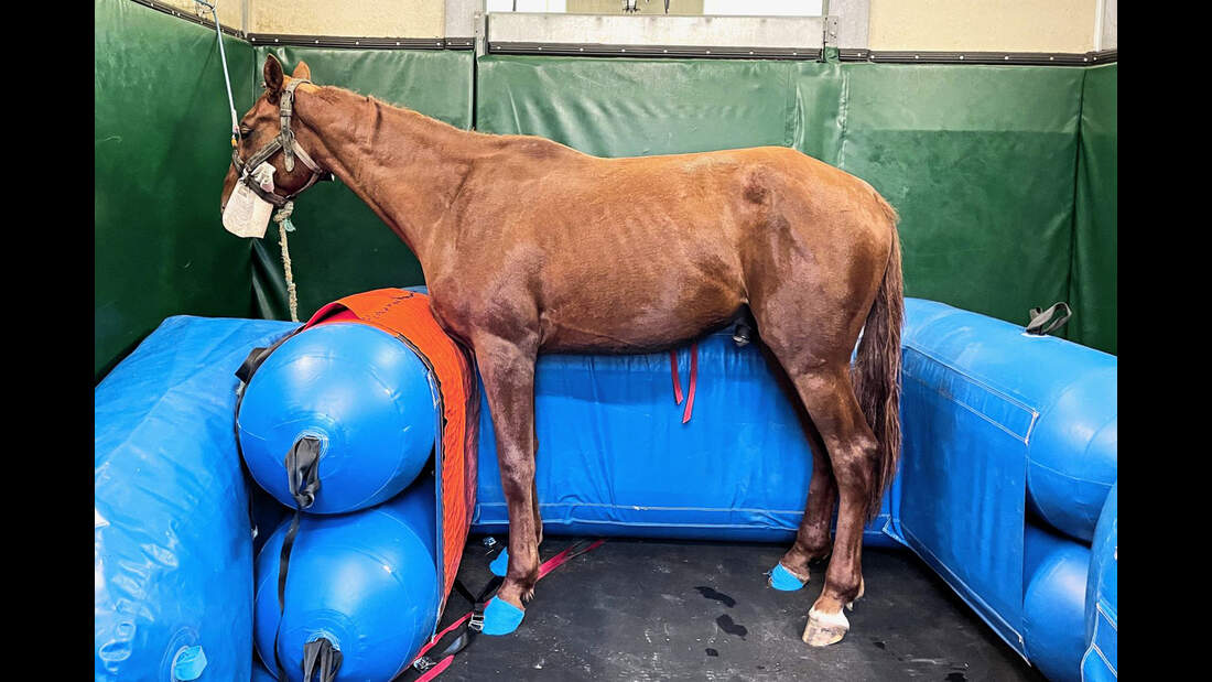 Equi-lift