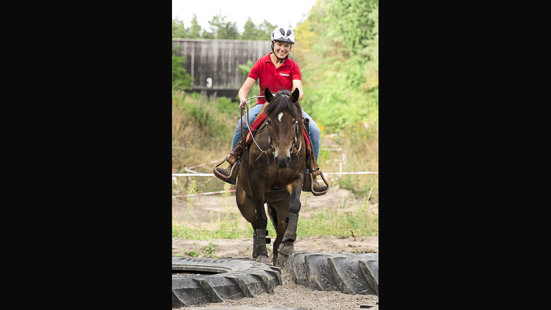 Equiathlon