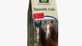Esparsette-Cobs von Nature's Best Futtersack