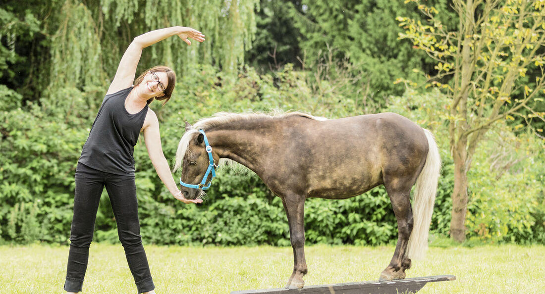 Reittraining Die Besten Tipps Cavallode - 