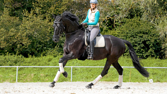 CAVALLO Magazin cavallo.de