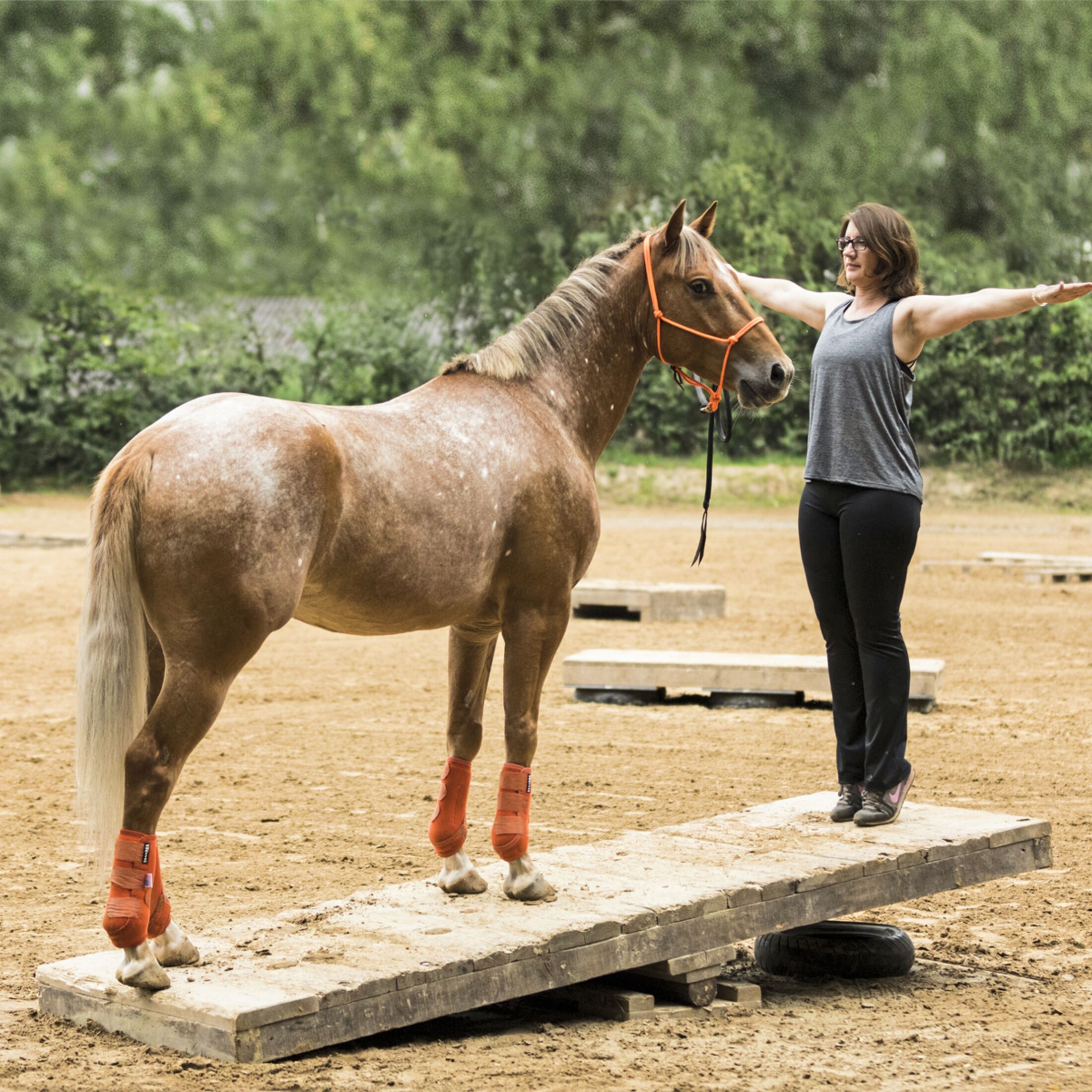 Ganzkörper-Workout: Zirkeltraining mit Pferd