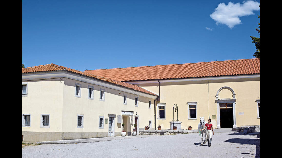 Gestüt Lipica