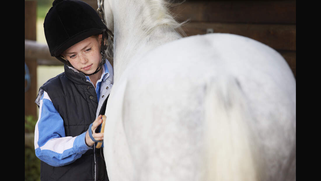 Girl grooming her pony