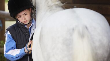 Girl grooming her pony