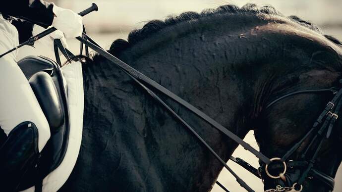 CAVALLO Magazin cavallo.de