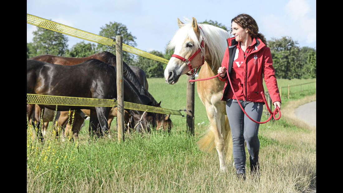 Harmonie im Offenstall