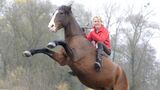 Hero Merkel auf einem steigenden Pferd