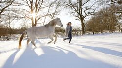 Junge Frau und Pferd rennen durch den Schnee 