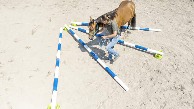 Kurze Trainings