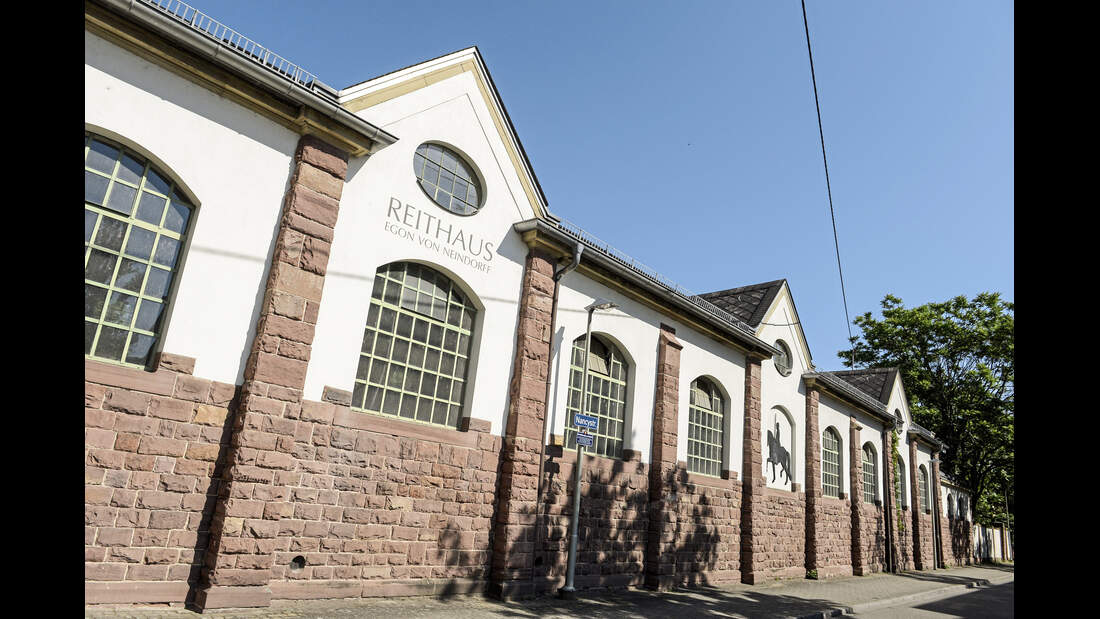 Leckerli & Levaden - alte Reitkunst am Egon von Neindorff-Institut