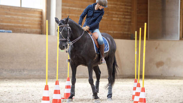 Lisa in fremden Sätteln - Working Equitation