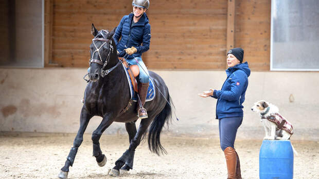 Lisa in fremden Sätteln - Working Equitation