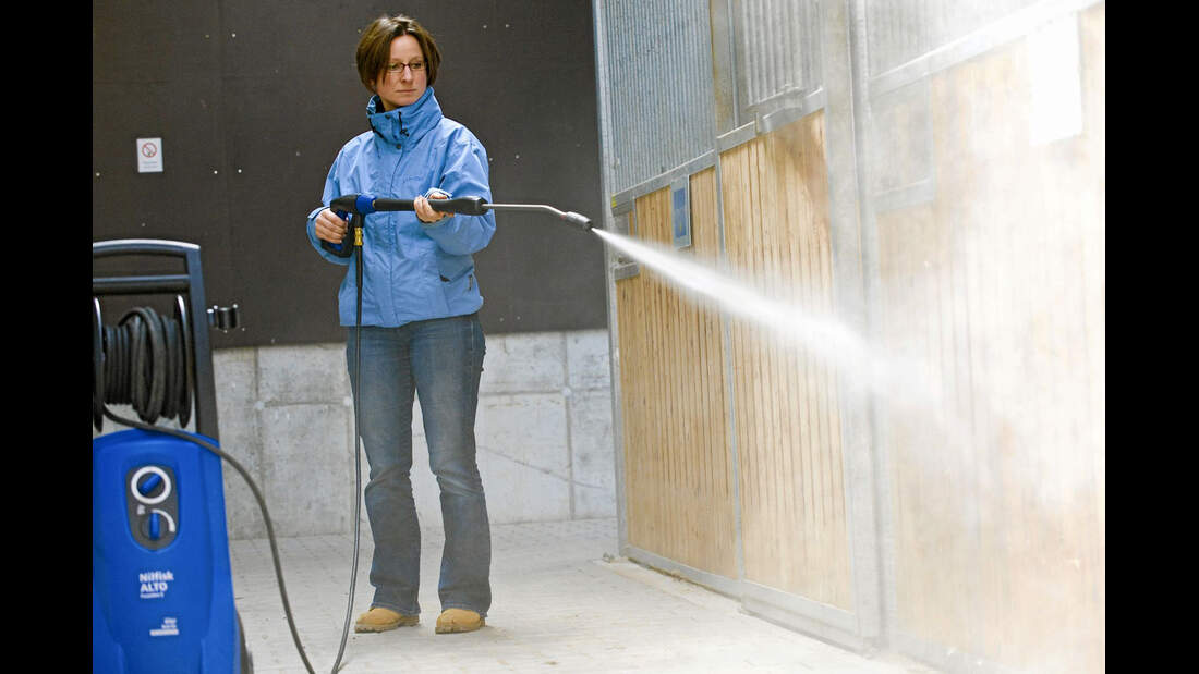 Medizin Kompendium Equine Influenza