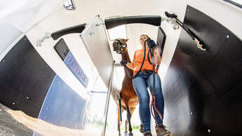 Mit dem Pferd auf Tour