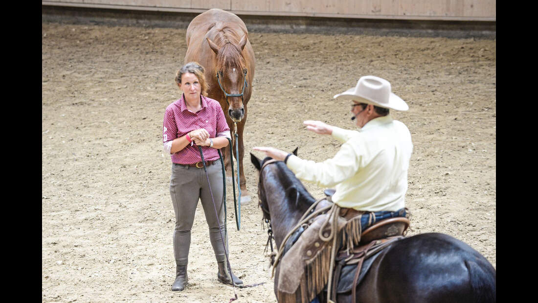 Natural Horsemanship mit Pat Parelli