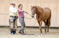 Natural Horsemanship mit Pat Parelli