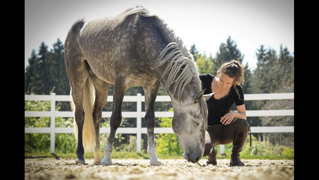 Notstopp reiten
