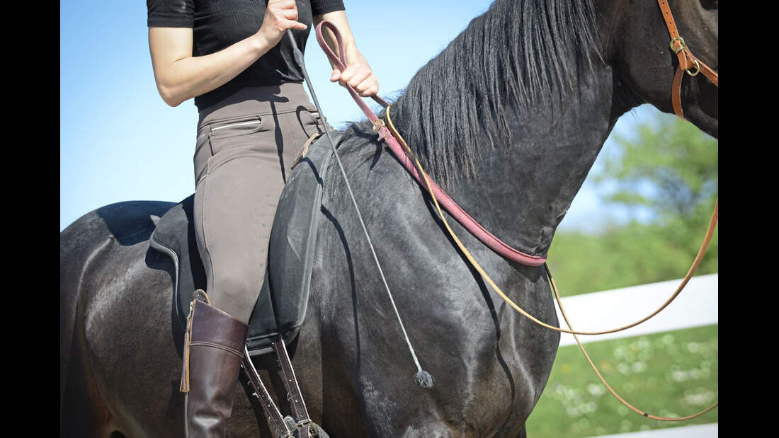 Notstopp reiten
