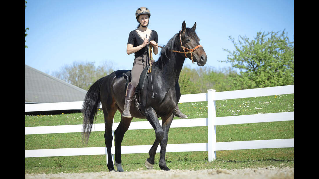 Notstopp reiten