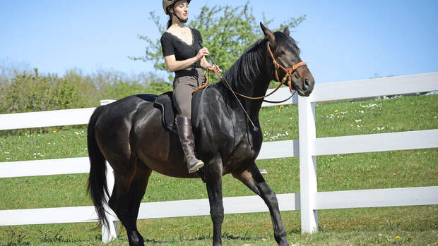 Notstopp reiten
