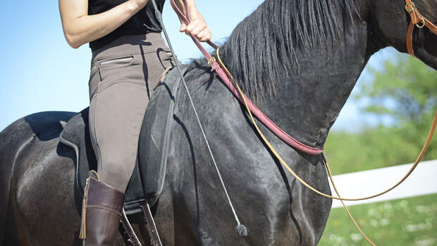 Notstopp reiten