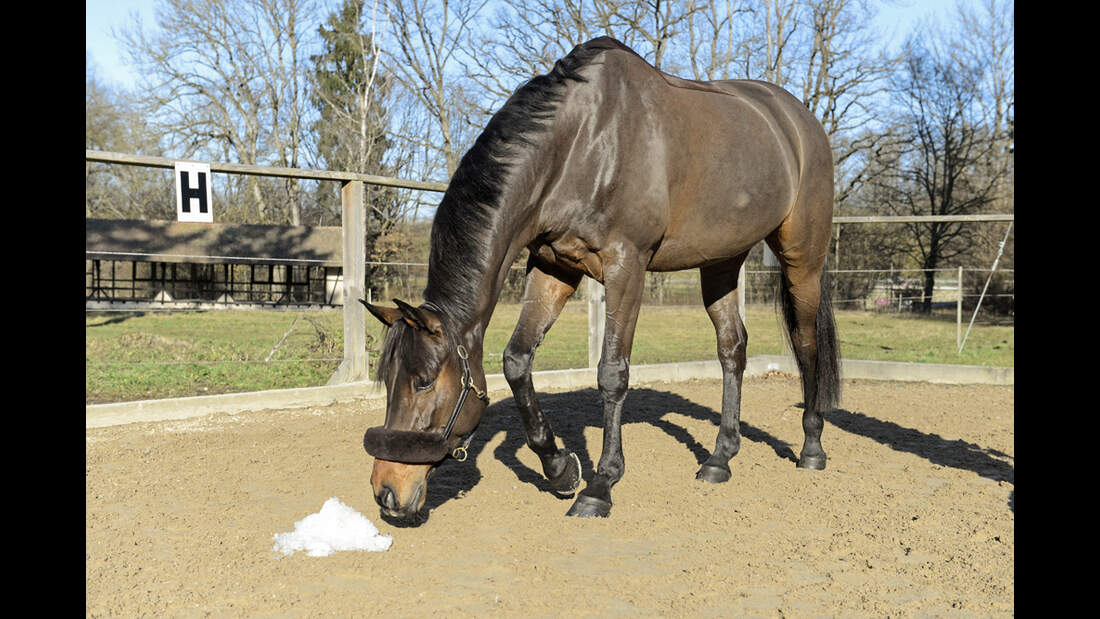 Optimisten und Nachmacher