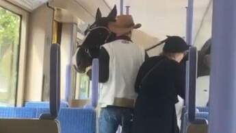 Pferd in der Stuttgarter Stadtbahn