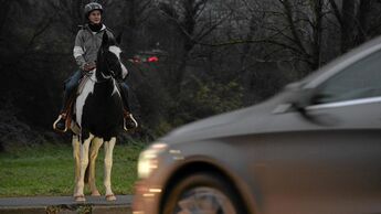 Pferd und Reiterin in der Dämmerung im Straßenverkehr 