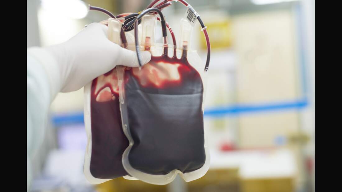 Red blood bag in hand scientist over white background in laboratory.