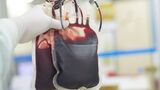 Red blood bag in hand scientist over white background in laboratory.