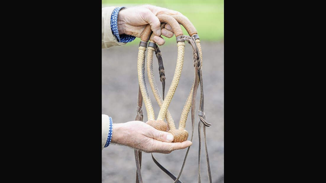 Redaktion in Aktion - Reiten mit Bosal