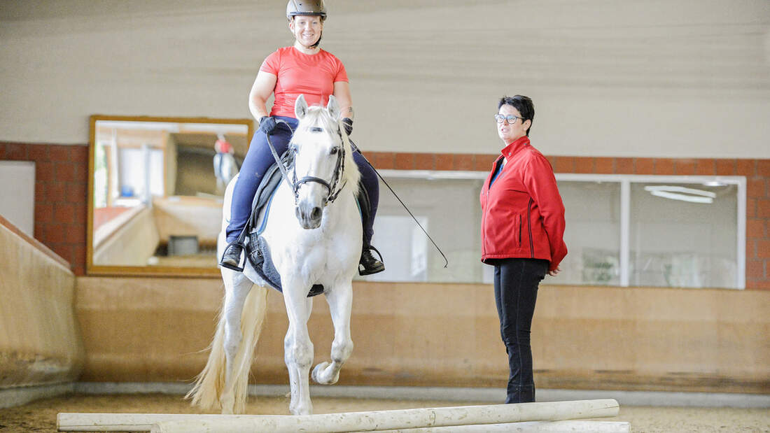 Reiten lernen Teil 3