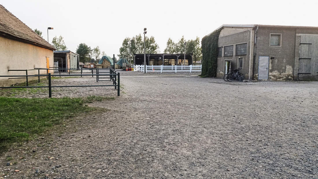 Reitschultest Leipzig CAVALLO testet drei Reitschulen cavallo.de